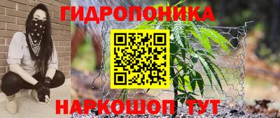PSILOCYBIN Малоярославец
